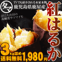 本場本物の紅はるか 3kgTVでも紹介される鹿児島鹿屋市の本家本元ならではの独特な食感と抜群の甘さ！[TV出演 本場ブランド 紅はるか3kg詰め]TV「満点青空レストラン」で放送予定！鹿児島鹿屋市育ちの紅はるか