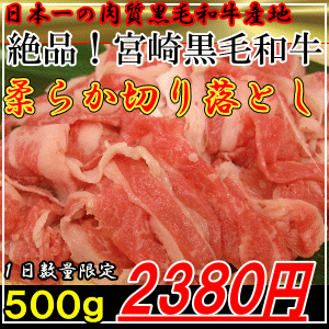 宮崎県産黒毛和牛柔らか切り落とし500g