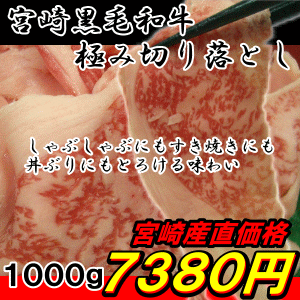 {茧Yјa~I؂藎Ƃ1000g