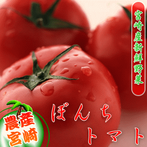 宮崎産ぼんちトマト（M4玉）
