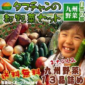 【送料無料】九州野菜お試し詰め合わせセット九州野菜13品ベス...