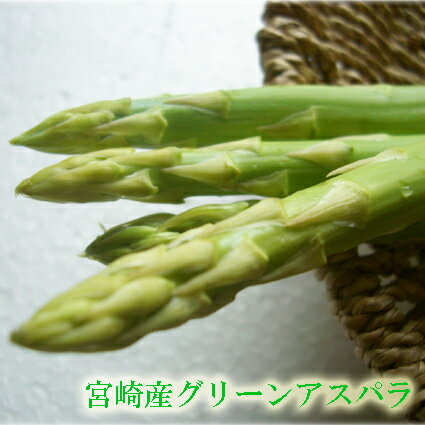 【九州産新鮮野菜】直送！アスパラガス（4本〜5本）