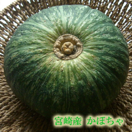 【宮崎産 新鮮野菜】直送！えびすかぼちゃ