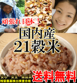 【送料無料】【日本代表雑穀】白米と一緒に炊くだけで栄養たっぷりのご飯♪もちもち、美味しい栄養満点のご飯が出来上がり♪(計量スプーン付き)2個まではメール便配送3個以上は宅配便となります。【楽天雑穀ランキング総合1位】【雑穀】