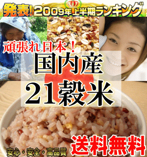 【送料無料】国内産21雑穀米(300g)白米と一緒に炊くだけで栄養たっぷりのご飯♪もちもち美味しい栄養満点のご飯が出来上がり●2個までメール便配送●3個以上は宅配配送【計量スプーン付】【国産21世紀雑穀米】 【マクロビオティック】【0701SMG】