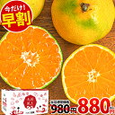 【今だけ早割★980円⇒880円!】 2セット購入で1セット増量 みかん 訳あり ミカン 蜜柑 九州 1セット1.5kg 約9玉前後~約30玉前後入り 3セット購入で3セットおまけ増量 九州産 柑橘 規格外 お取り寄せ フルーツ 家庭用 《10月中旬-11月上旬頃発送予定》で1セットおまけ増量