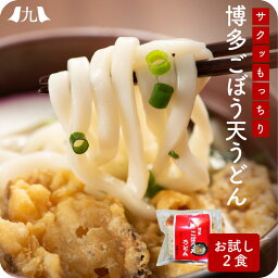 お試し うどん 博多うどん 博多ごぼう天うどん 2人前 ポスト投函 メール便 1000円 台 ポッキリ 福岡 博多 うどん 博多うどん ごぼう天 あごだし ごぼ天うどん 天ぷらうどん スープ うどんセット 九州 お取り寄せ グルメ 送料無料