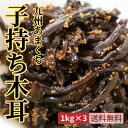 【ポイント10倍以上】【送料無料】子持ちきくらげ 1kg 3個セット きくらげ ししゃも