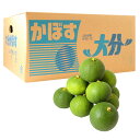 大分竹田産 かぼす青果1箱 4Kg(秀品)【受注発注】【露地カボス】【秀品】