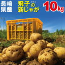 【春じゃが】新じゃが【日本一】じゃがいも長崎県島原産馬鈴薯10kg ジャガイモ ばれい