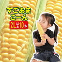 【受付開始】とうもろこし【送料無料】【すごあまこーん】九州随一の生産地大分県竹田市菅生のスイートコーン10本(2L以上)計約4キロ