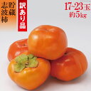【送料無料】貯蔵志波柿5キロ【献上ブランド柿】訳あり品【こだ...
