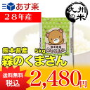 (28年産)熊本県産森のくまさん 5kg (森のくまさん)(米)(お米)(送料無料)