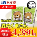 （28年産）熊本県産森のくまさん5kg×2袋【10kg】（森のくまさん）（米）（お米）（送料無料）