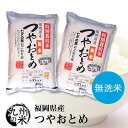 (送料無料)【無洗米】(30年産)(減農薬) つやおとめ 5...