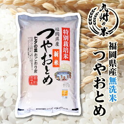 【令和5年産】送料無料 <strong>無洗米</strong> 減農薬 特別栽培米 つやおとめ 5kg