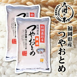 【令和5年産】送料無料 減農薬 特別栽培米 つやおとめ <strong>10kg</strong>（5kg×2袋）