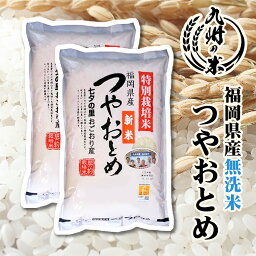 【お買い物マラソン当店ポイント2倍】【令和5年産】送料無料 <strong>無洗米</strong> 減農薬 つやおとめ 10kg（5kg×2袋）