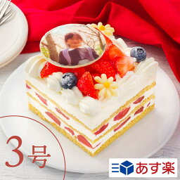 写真 プリント ケーキ 【あす楽】1人でも楽しめる 3号
