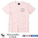 【2017年新作!】アバクロンビー&フィッチ 正規品 アバクロ Abercrombie&Fitch メンズ Tシャツ:Printed Logo Graphic Tee - Pink│ピンク