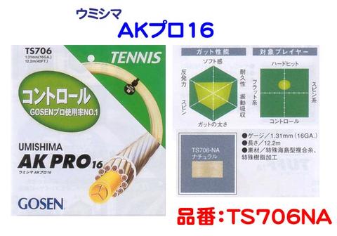 【送料無料】GOSEN(ゴーセン)UMISHIMA　AK　PRO16ノンパッケージTS706【smtb-m】メール便で送料無料！！