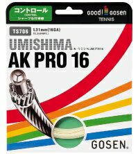 【送料無料　代引き不可】GOSEN(ゴーセン)UMISHIMAAK　PRO16