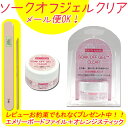 【★クーポンあり】【あす楽対応】プロ仕様15g!ソークオフジ...