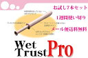 【メール便送料無料】【hel-133】【WET TRUST ...