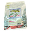 チャイナチャイナ ウラジロガシ茶 ティーパック 400g(1包約8g)