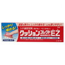 クッションコレクトEZ 30g