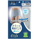 さらっと吸水パンツ 男性用 Lサイズ DPI45LV 1枚入※取り寄せ商品 返品不可