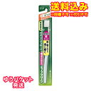 【ゆうパケット送料込み】花王 ディープクリーン コンパクトヘッド ふつう※ハンドルカラーの指定はできません。