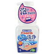 パーシャルデント　泡洗浄フォーム　250ml