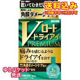 ゆうパケット）【第3類医薬品】Vロート　<strong>ドライアイ</strong>プレミアム　15ml