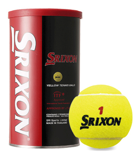 yozXN\(SRIXON)@ejX{[@21ʁiSRXYL2DOZj