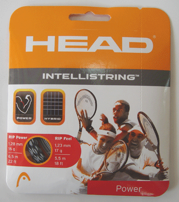 إå(HEAD)ƥꥹȥ󥰡IntelliStringˡС/֥å281021