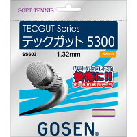 GOSEN（ゴーセン） テックガット テックガット 5300 ナチュラル テニス ガット SS603NAの画像