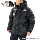 【送料無料】【2019 AW】【並行輸入品】『THE NORTH FACE-ノースフェイス-』7SE HIMALAYAN PARKA GTX ヒマラヤンパーカー メンズ ダウンジャケット アウター〔NF0A3MJB〕