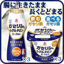 【宅配専用商品】ガセリ菌+グルタミンセット 70g×3個+100g×3個 【ガセリ菌SP株】【グルタミン】【megumi1015】【4】【RCP】
