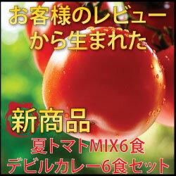 LaLaカレー夏トマトMIX6パック＆デビルチキン6食セット送料無料！！10P4Jul12