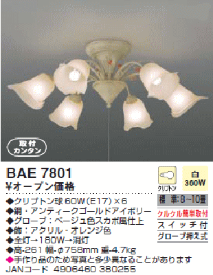 RCY~@VfA@BAE7801