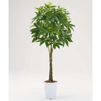 人工植物