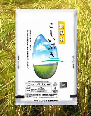 2ޤޤ500ߡ㥱٥ 㻺֤10kg