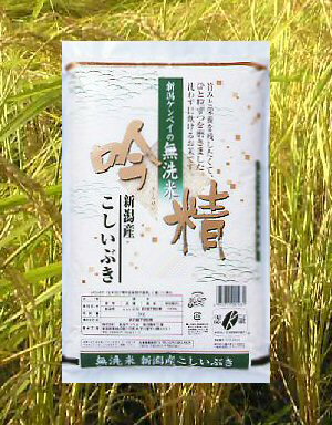 4ޤޤ500ߡ㥱٥̵ơֶ׿㻺֤5kg