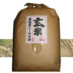 4ޤޤ500ߡ㥱٥ڸơۿ㻺֤5kg