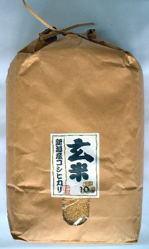 2ޤޤ500ߡ㥱٥ڸơۿ㻺ҥ10kg