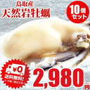 6月上旬より順次発送!1配送先に付き2セット購入でもう1セット増量!牡蠣 カキ 天然岩牡蠣(活)150g〜220g前後×10個 鳥取産 朝採れ 刺身用 !(岩ガキ/岩がき)記念価格