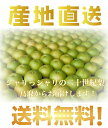 予約!鳥取県産 二十世紀梨 5kg詰 梨 ご自宅用 訳あり梨...