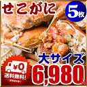 セイコ蟹 大サイズ(カニ 蟹 かに)5枚入り!セコガニ(親が...