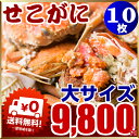 セイコ蟹 大サイズ(カニ 蟹 かに)10枚入り!セコガニ(親...